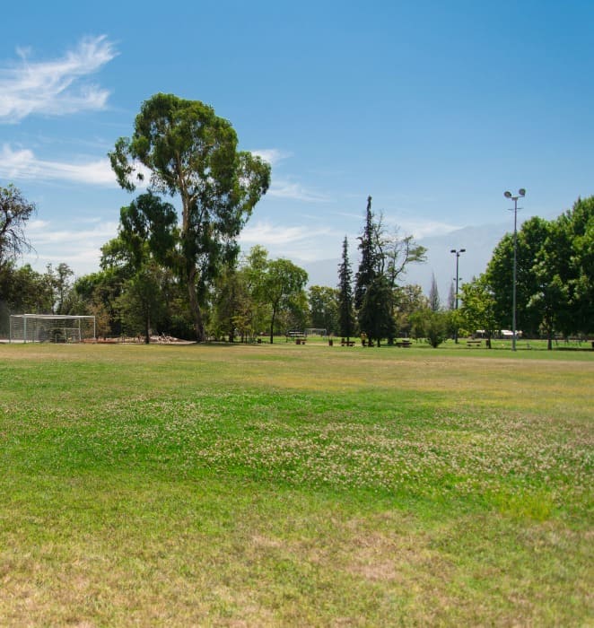 Imagen muestra amplio sector de las áreas deportivas del campus San Joaquín.