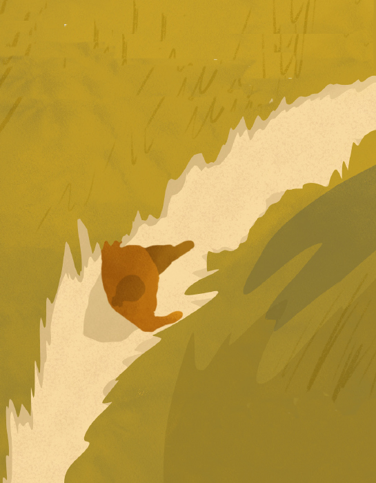 autoguia de bienestar-imagen ppal