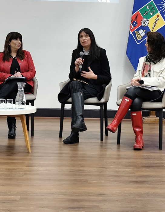 Valeska Grau en comisión convivencia y salud mental