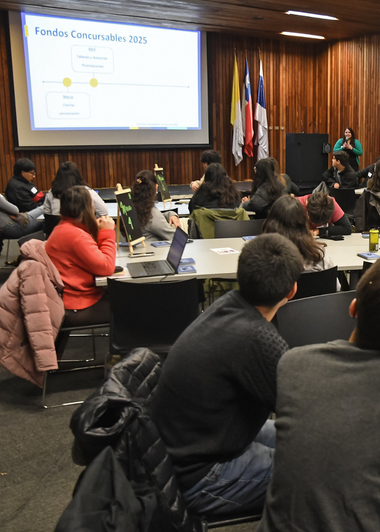 Jornada de Avances Fondos Concursables