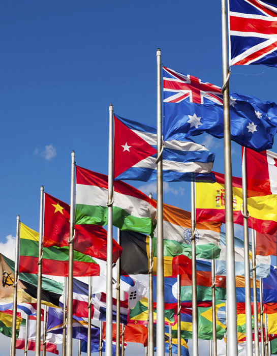 convocatorias y reconocimiento-destacada