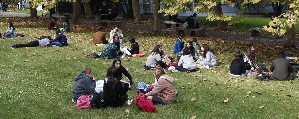experiencia universitaria